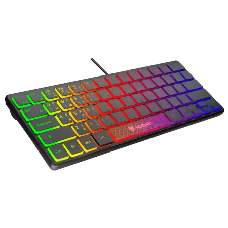PNG_NK-40_03.webp